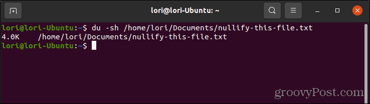 Using the du command to check the size of a file in Linux