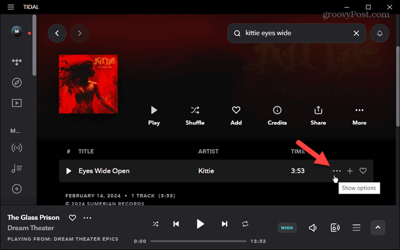 desktop tidal app select song options