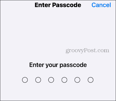 type passcode iphone