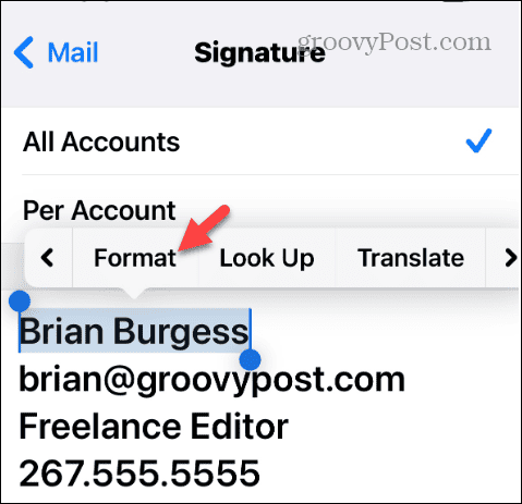 basic formatting email signature iphone