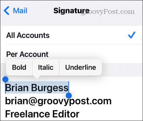 email signature formatting option