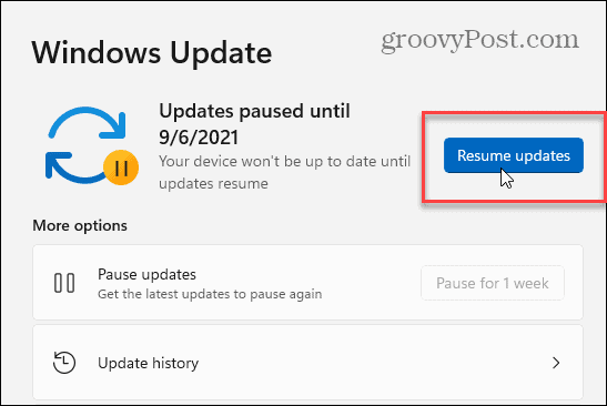 Resume Windows 11 Updates