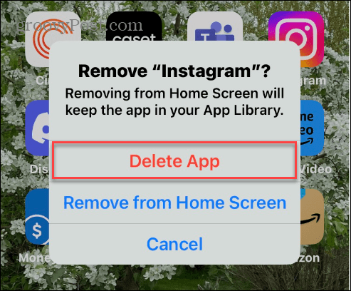 confirm delete app