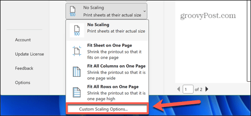 excel custom scaling options