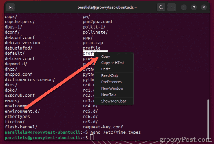 Copy Paste Ubuntu Terminal Right-Click Mouse