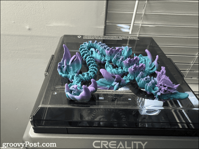 coral reef dragon