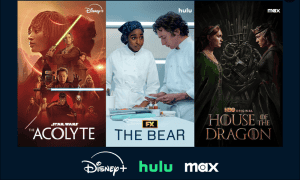 Disney+ Hulu Max Bundle