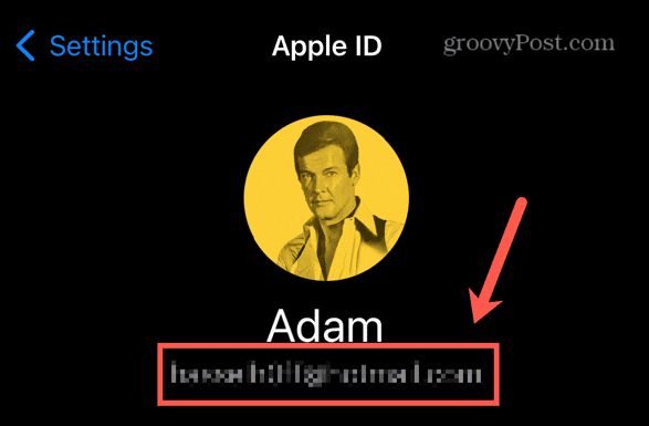 iPhone apple id email