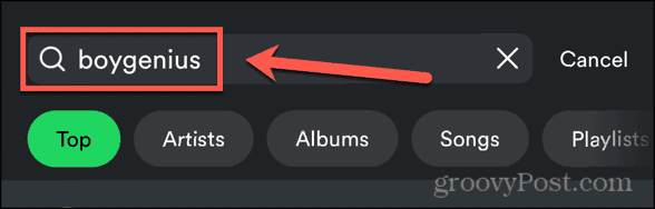 spotify search