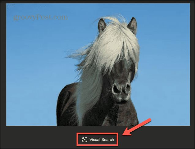 bing reverse image search visual search