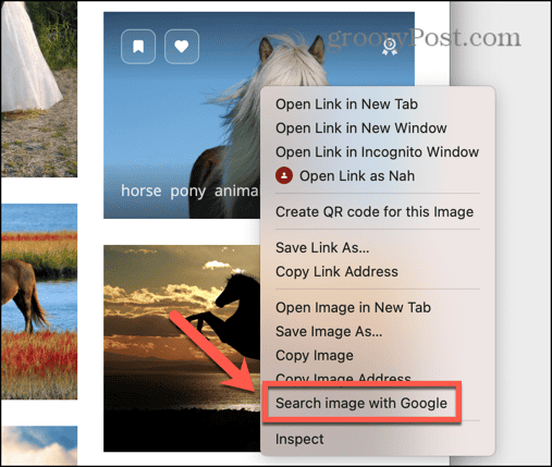 search image with google