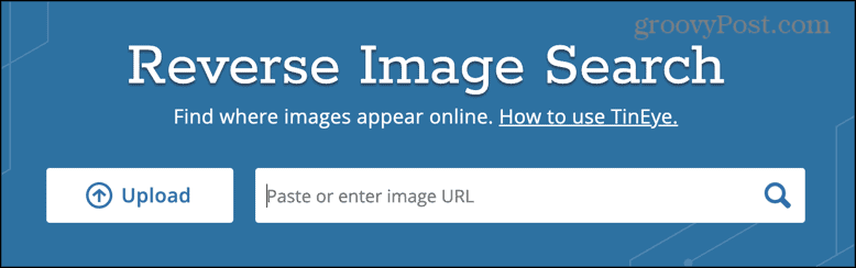 tineye reverse image search