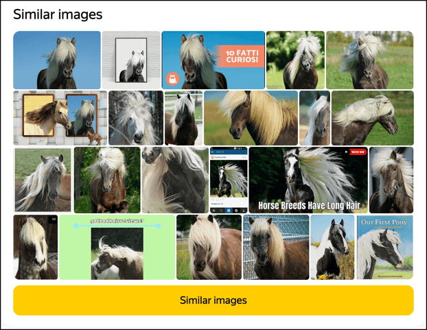 yandex image search results