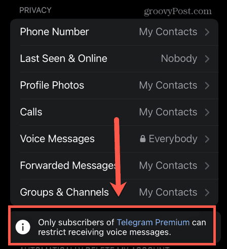 telegram voice messages