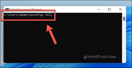 windows 11 ipconfig